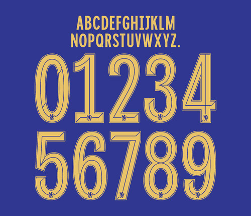 2023 chelsea custom any - 2023-24,