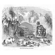 LINCOLNSHIRE A Wild Duck Decoy #2 - Antique Print 1856