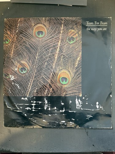 Tears for fears - fears, the