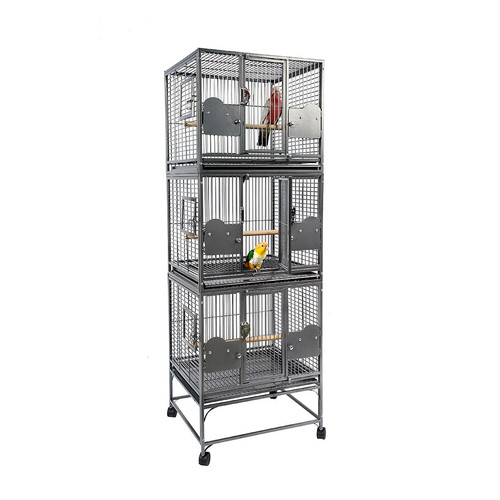 Triple stacked parrot - stacked,