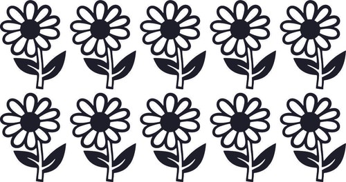 Daisy - 10,