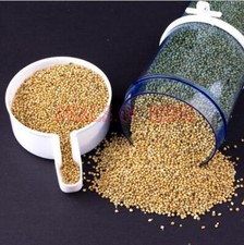 Bird Feeder Food Water Feeding