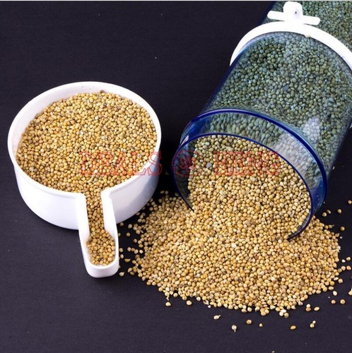 Bird feeder food - feeder, water