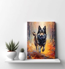 Norwegian Elkhound Dog