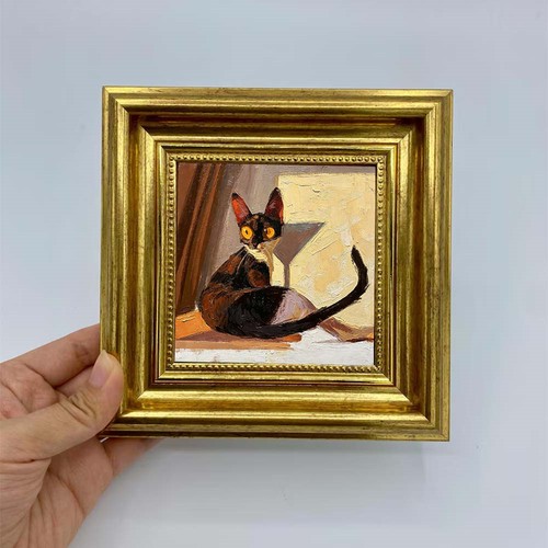 Tortoiseshell cat still - tortoiseshell, life
