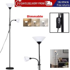 Modern Dimmable Floor Lamp