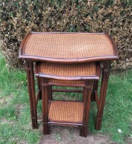 Tall cane bamboo - rattan, nest
