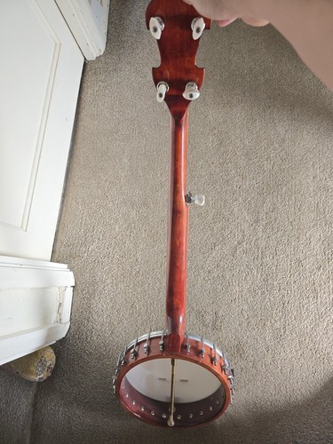 Mcneela the freedom string - the,