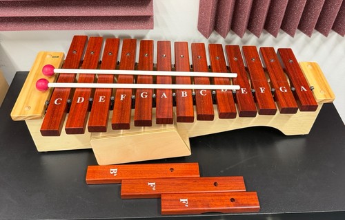 Rhythm band rbxyls rbi orff - rhythm,