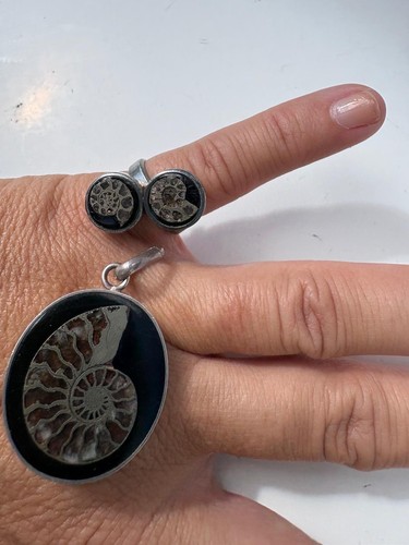 Closed silver ammonite - closed,