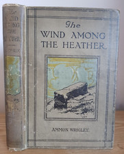 1916 THE WIND AMONG THE