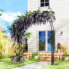Steel Garden Arch, 2.2m High x