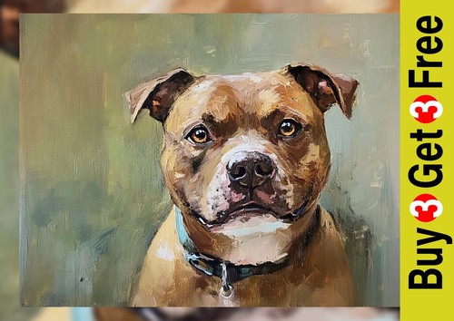 Staffordshire bull terrier - staffordshire,