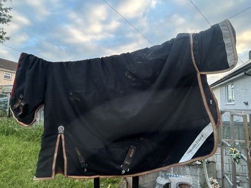 Premier equine titan - 5’3,
