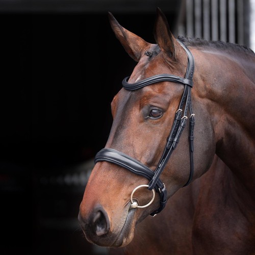 Shires velociti lusso elite - lusso,