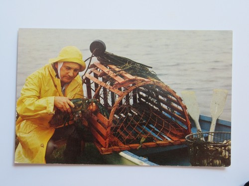 Atlantic coast fisherman - coast,