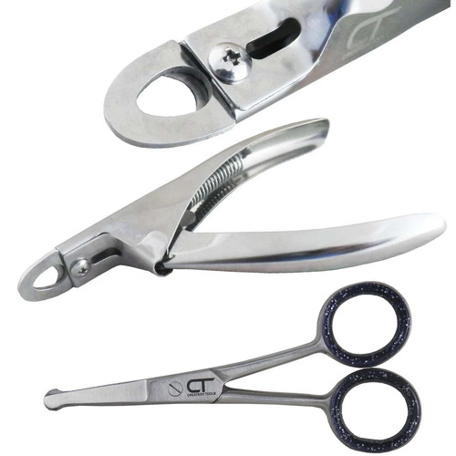 Dog nail clippers grooming - dog,
