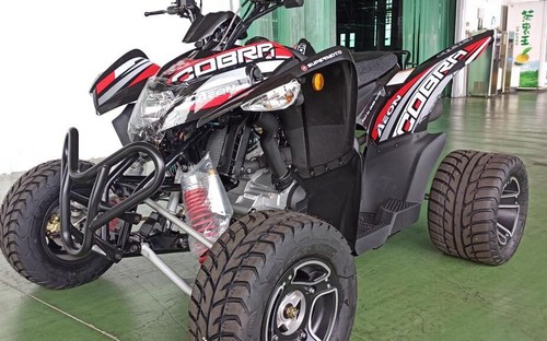 Quadzilla aeon cobra - 400, 2025