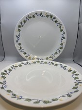 2 x Corelle Emma 26cm Classic Dinner Plates Vitrelle Break and Chip Resistant.