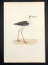 Stilt Original British Bird
