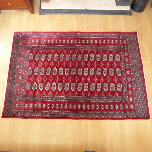 Hand knotted pakistani - knotted, bokhara