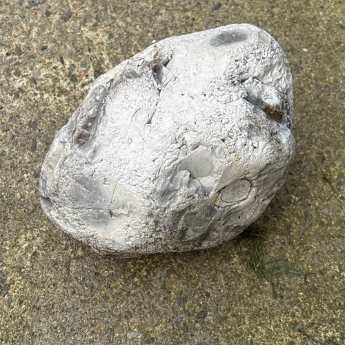 Garden rock - garden,