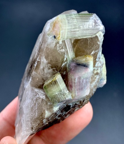 Tourmaline crystals specimen - tourmaline,
