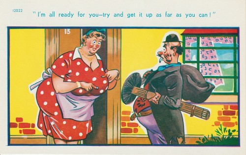 Vintage saucy seaside - saucy, postcard