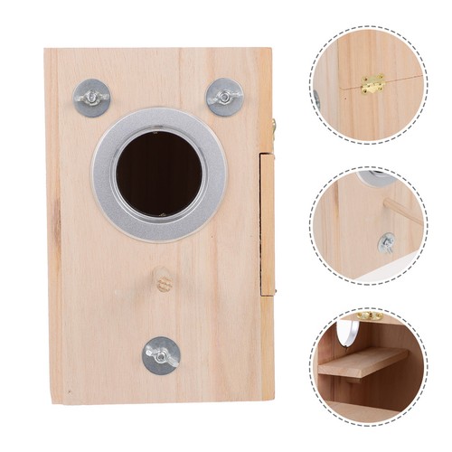 Bird breeding nest parakeet - bird,