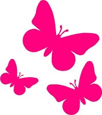 Pink Butterfly Car,Camper Van