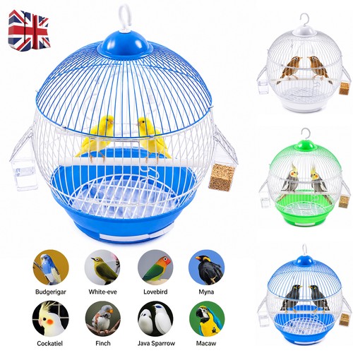 Round metal bird - bird, cage