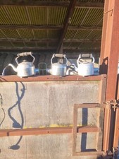 vintage swan electric kettle