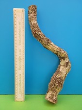 CORK BARK BRANCH 35CM SNAKE
