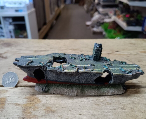 Small sunken aircraft carrier - sunken,