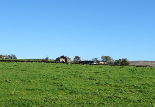 Photo 6x4 grazing - 6x4, off