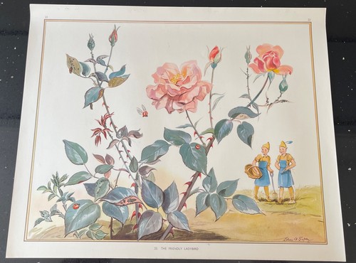 Vintage 1950s enid blyton - vintage,