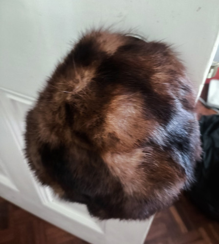 Women brown real fur - women’s,
