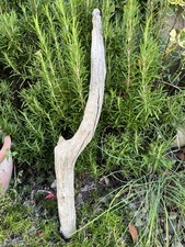 53cm LONG CHUNKY DRIFTWOOD BRANCH Sea Wood  Display Sculpture Character face