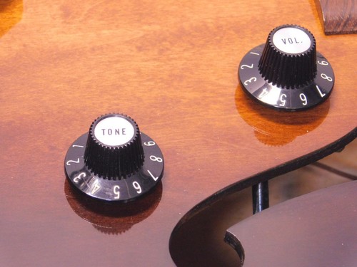 Gibson 175 with charlie - '79,