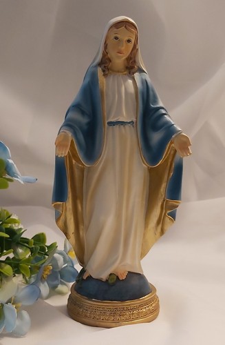 Virgin mary mediatrix - virgin,