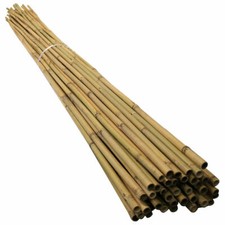 Bamboo Canes 3ft / 90cm Strong