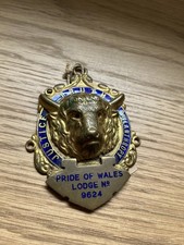 Vintage Masonic Gilt Metal & Enamel RAOB Buffaloes Medallion