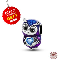 Cute Owl with Heart S925