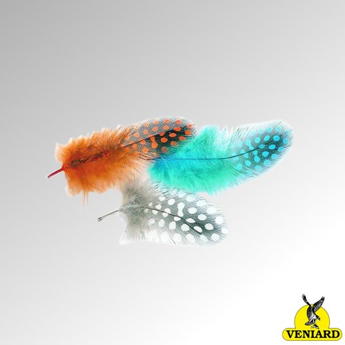 Veniard guinea fowl plumage - guinea,