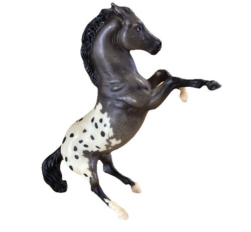 Blue roan appaloosa rearing - roan,