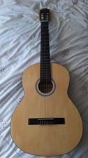 Elevation Acoustic Guitar