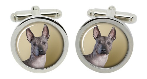 Mexican hairless dog cufflinks - dog,