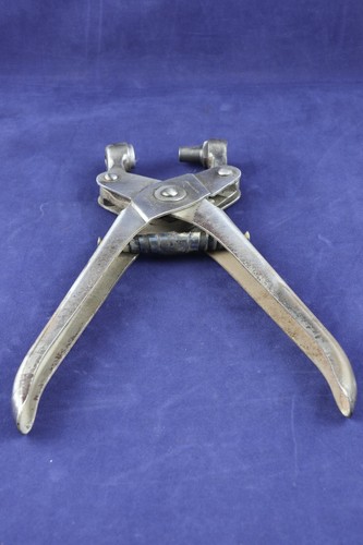 Vintage veterinary ear tagging - veterinary,
