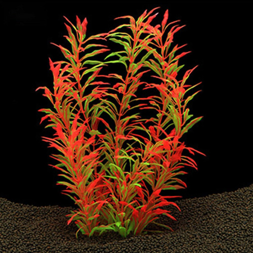 Large aquarium plants - aquarium,