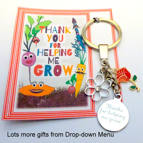 Thank you gift - for, teacher